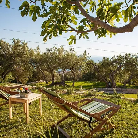 بيت للعطل Rustikale Oliveto By Interhome ماكارسكا