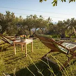 Casa de Férias Rustikale Oliveto By Interhome