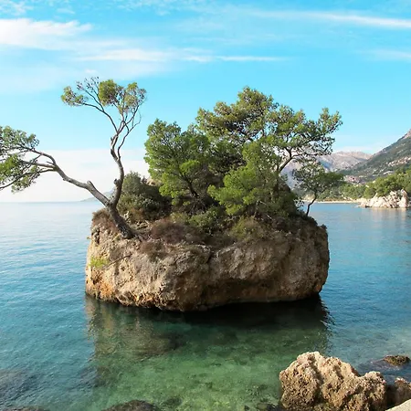 Rustikale Oliveto By Interhome Casa vacanze *